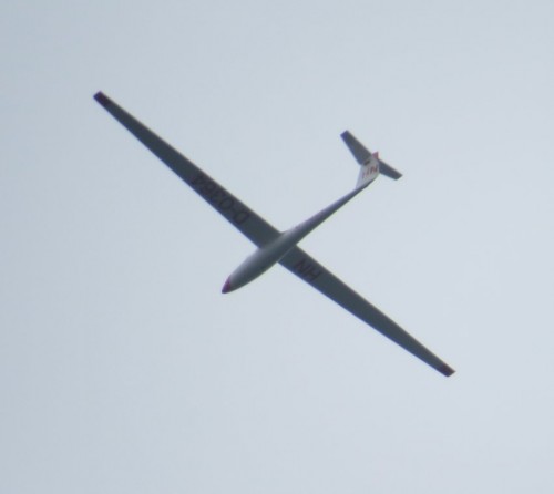 Glider-D-0364-01