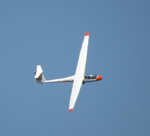 Glider-D-0364-05