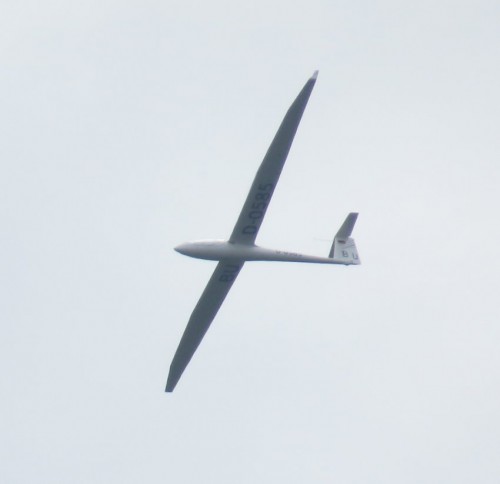 Glider-D-0585-02