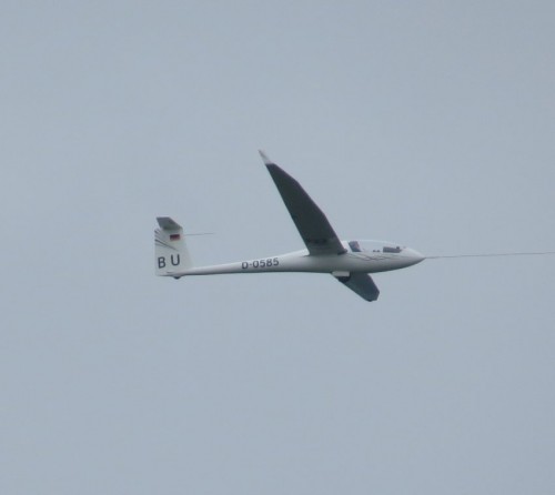 Glider-D-0585-03