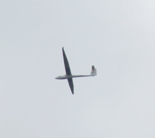 Glider-D-0628-01