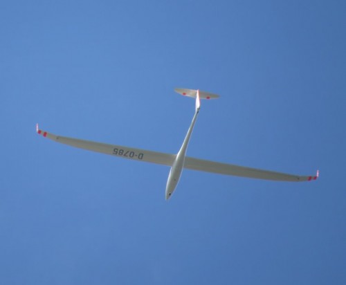 Glider-D-0785-02