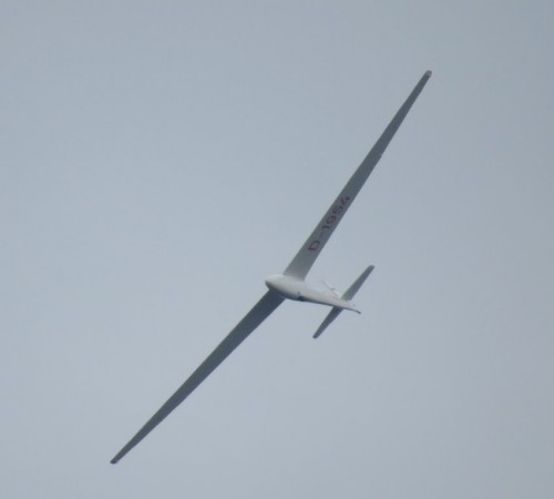 Glider-D-1954-01