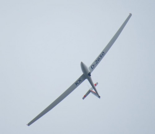 Glider-D-2650-01
