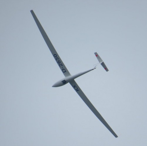 Glider-D-2650-02