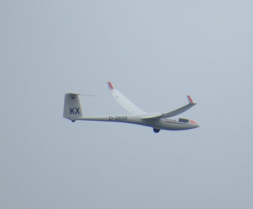 Glider-D-2650-03