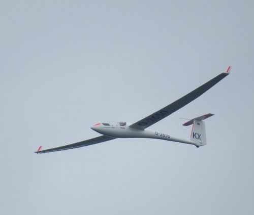 Glider-D-2650-04