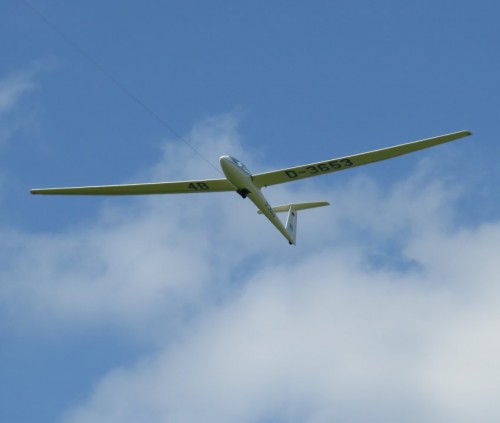 Glider-D-3653-06