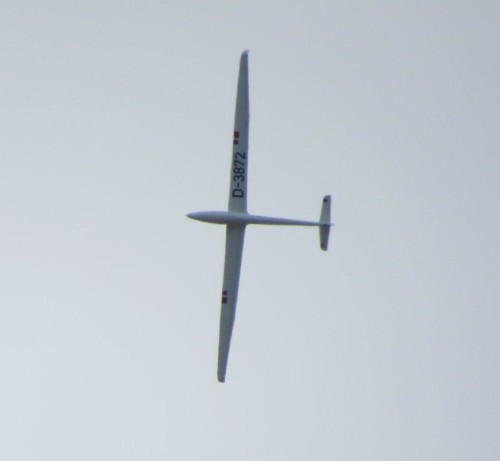 Glider-D-3872-03