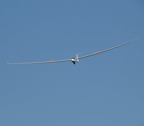 Glider-D-3959-04