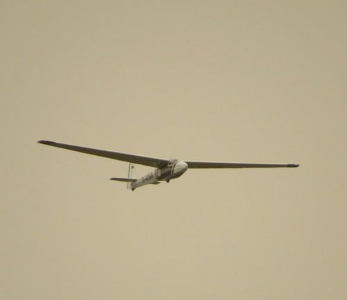 Glider-D-4068-01