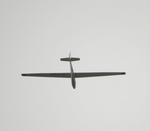 Glider-D-4068-03