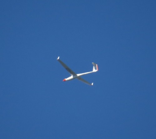 Glider-D-4225-01