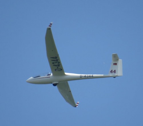 Glider-D-4344-01