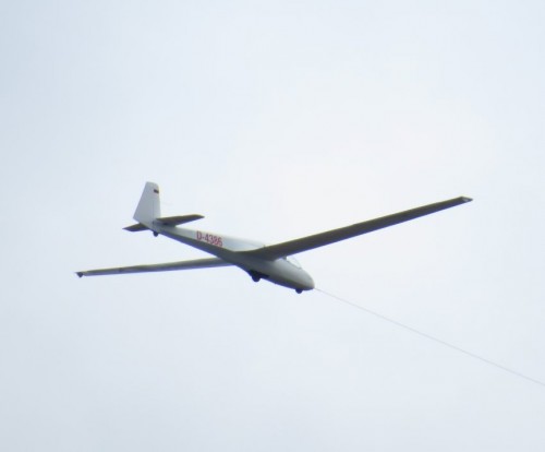 Glider-D-4386-03