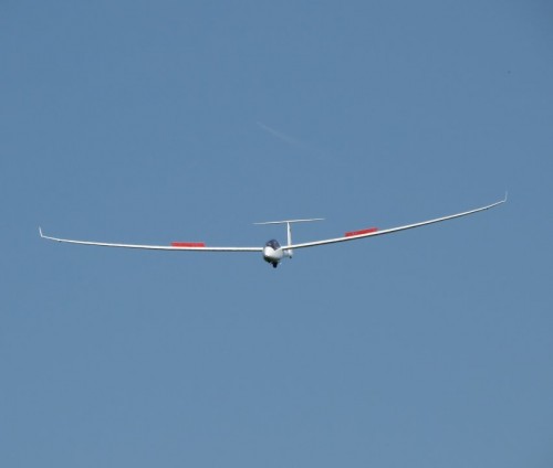 Glider-D-4507-15