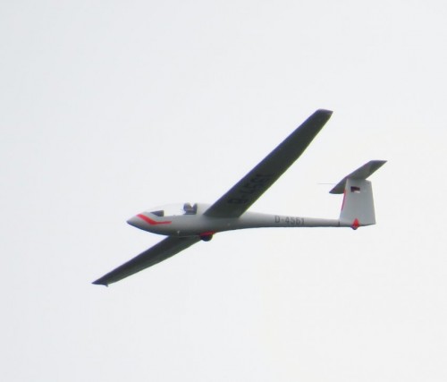 Glider-D-4561-03