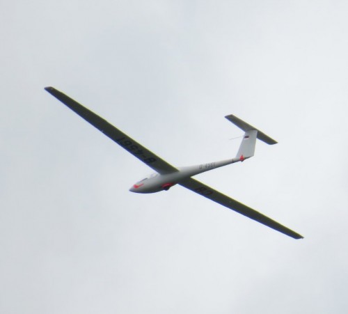 Glider-D-4561-05