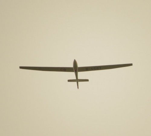Glider-D-4561-07