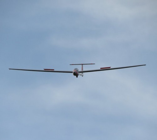 Glider-D-4561-09