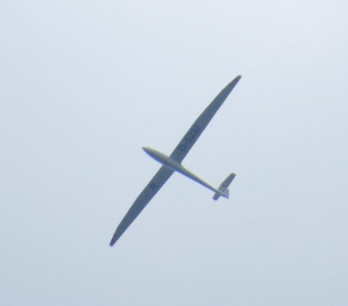 Glider-D-5232-01