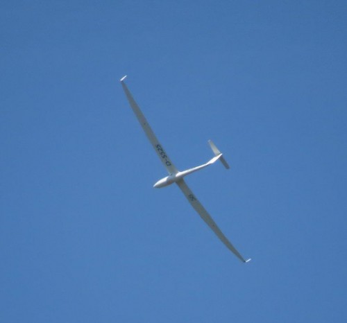 Glider-D-5525-02