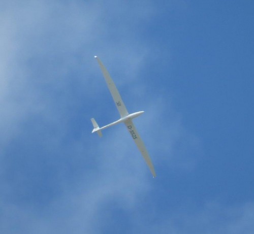 Glider-D-5525-03