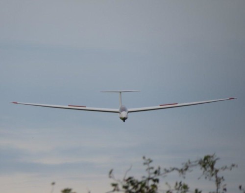Glider-D-5899-02