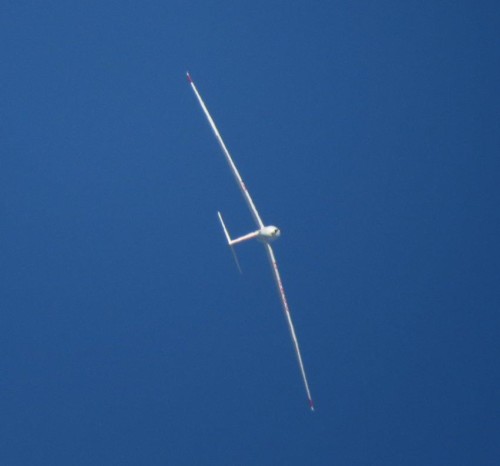 Glider-D-5899-09