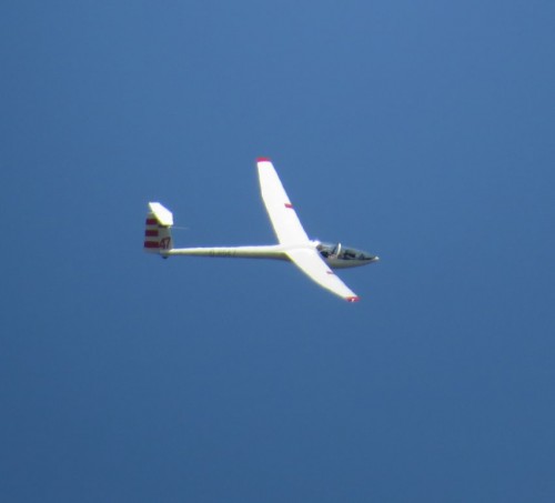 Glider-D-6547-03