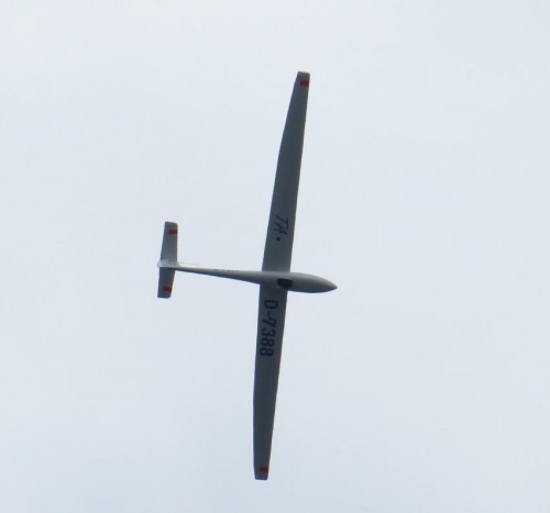 Glider-D-7388-02