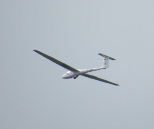 Glider-D-7388-04