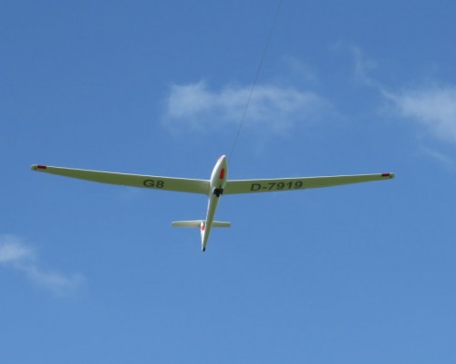 Glider-D-7919-02