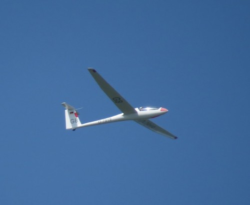 Glider-D-7919-03