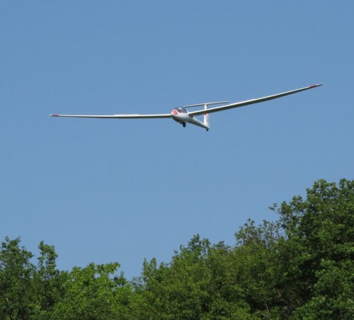 Glider-D-7919-05