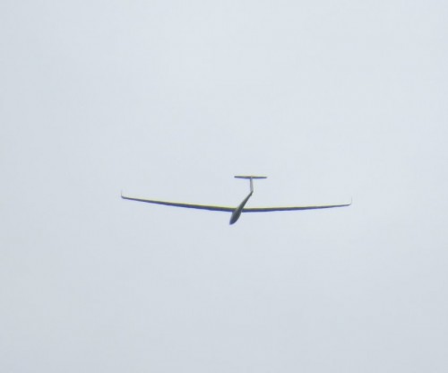 Glider-D-8194-02