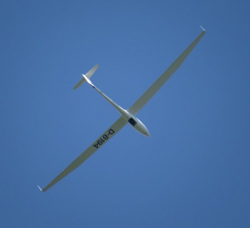 Glider-D-8194-04