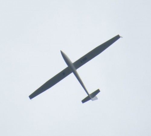 Glider-D-9190-01