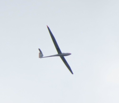 Glider-D-KBWS-01