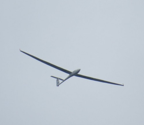Glider-D-KCHD-01