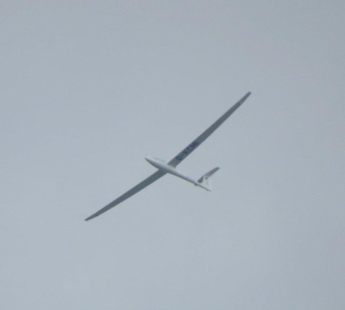 Glider-D-KCMI-01 (1)