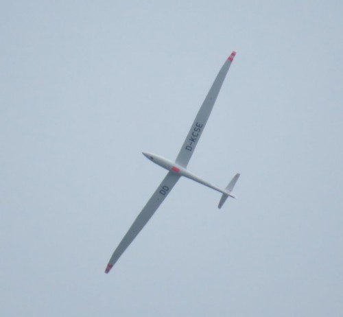 Glider-D-KCSE-01
