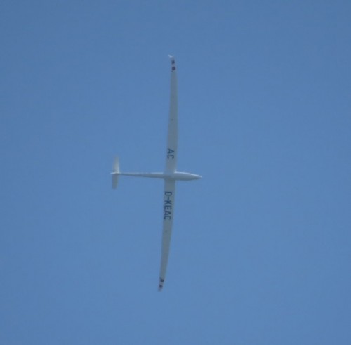 Glider-D-KEAC-01