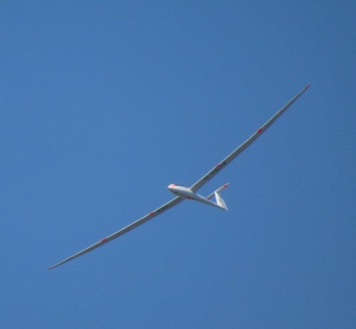Glider-D-KEXX-08
