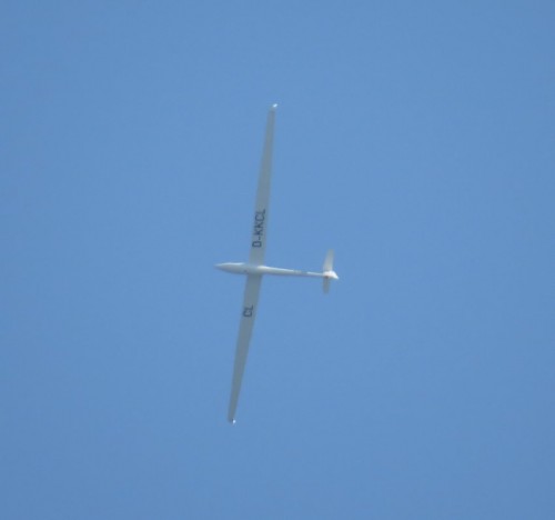 Glider-D-KKCL-01