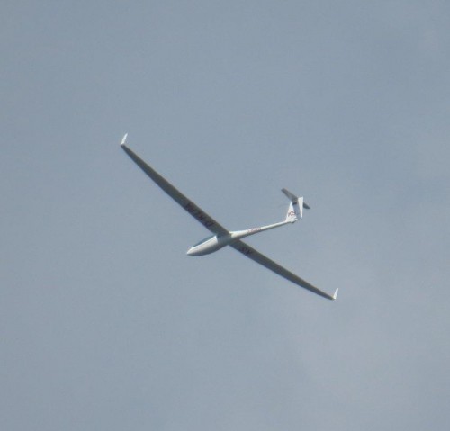 Glider-D-KLPA-02