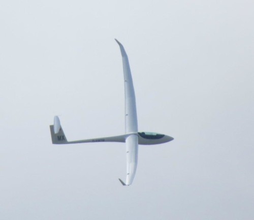Glider-D-KMTM MX-03
