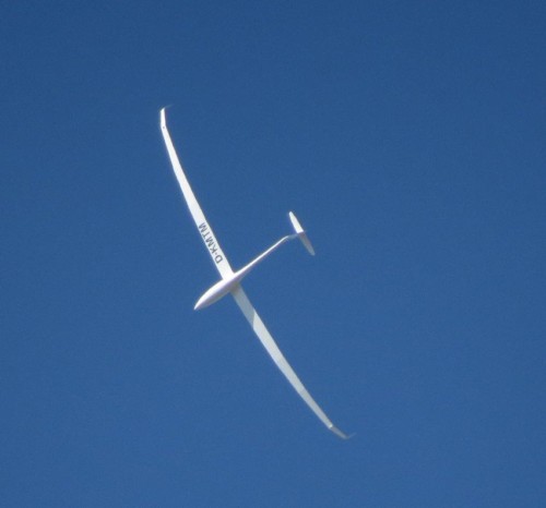 Glider-D-KMTM MX-04 (1)