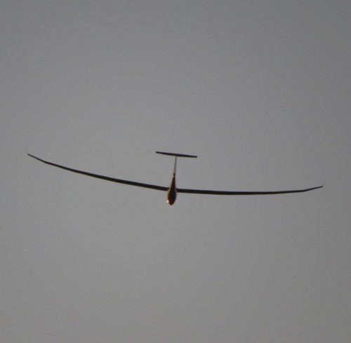 Glider-D-KPTB-03