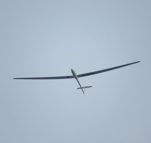 Glider-D-KULI-01